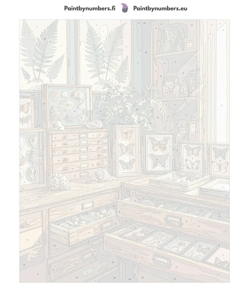 Numeroitu kangas - Butterflies and Shells Collection 40x50cm