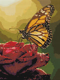 Thumbnail for Timanttikuvio - Butterfly on Rose