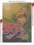 Thumbnail for Butterfly on Rose timanttimaalauksen liimapintainen canvas 30x40cm