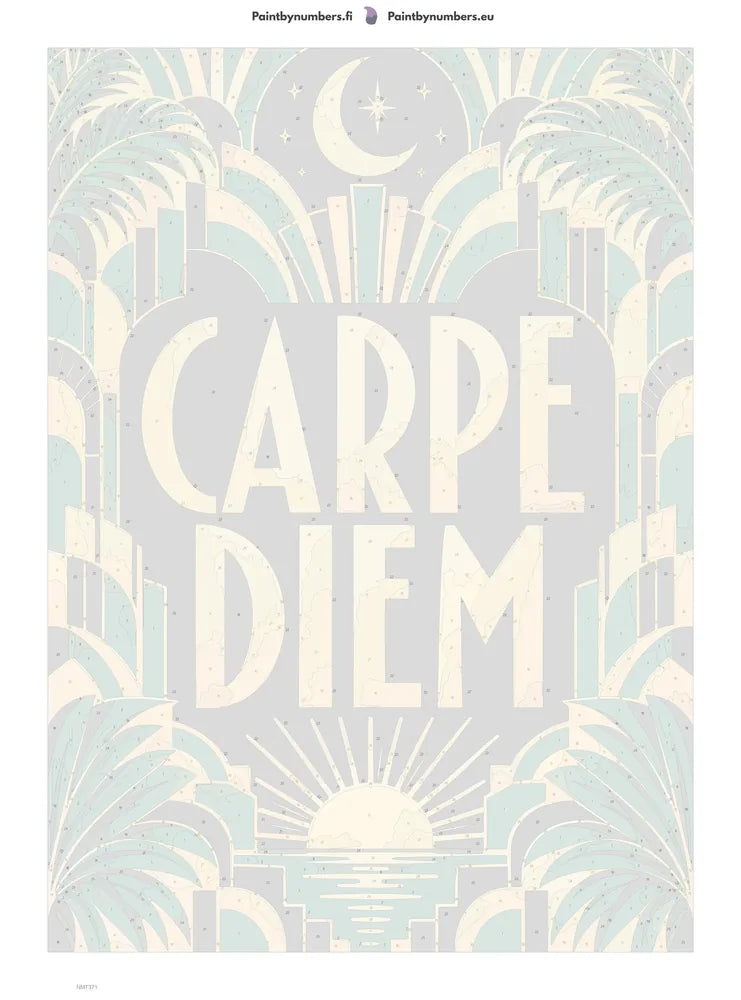Numeromaalaus: Numeroitu kangas - Carpe Diem 50x70cm