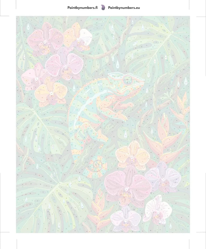 Numeroitu kangas - Chameleon and Orchids 40x50cm