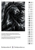 Thumbnail for Numeromaalaus: Värikartta ja ohjeet - Charcoal Stallion 40x50cm