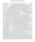 Thumbnail for Numeromaalaus: Numeroitu kangas - Charcoal Stallion 40x50cm