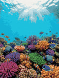 Thumbnail for Timanttikuvio - Tropical Coral Reef koralliriutan timanttimaalaus