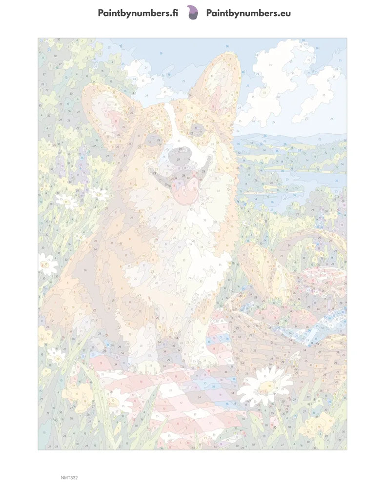 Numeromaalaus: Numeroitu kangas - Corgi Picnic 30x40cm