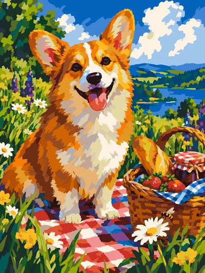 Corgi piknikillä kukkaniityllä numeromaalaus