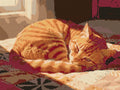 Thumbnail for Timanttikuvio - Cozy Ginger Cat