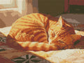 Thumbnail for Timanttikuvio - Cozy Ginger Cat