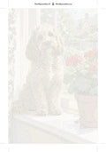 Thumbnail for Numeroitu kangas - Curly Dog on Windowsill 40x60cm