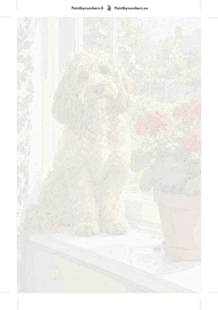 Numeroitu kangas - Curly Dog on Windowsill 40x60cm