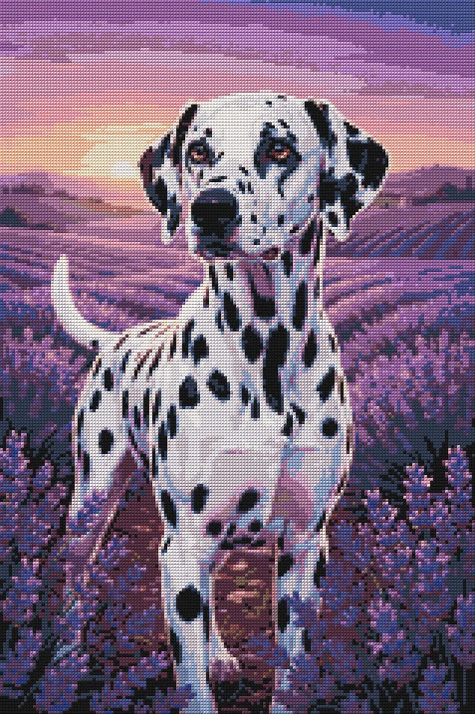 Timanttikuvio - Dalmatian in Lavender