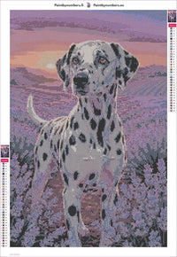 Thumbnail for Dalmatian in Lavender timanttimaalauksen liimapintainen canvas 40x60cm