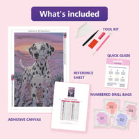 Thumbnail for Dalmatian in Lavender 40x60cm timanttimaalauspaketin sisalto: liimapintainen canvas, varikartta, tyokalut ja timanttipussit