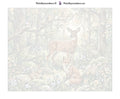 Thumbnail for Numeroitu kangas - Deer Fox Rabbit Birds 50x40cm