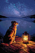 Thumbnail for Timanttikuvio - Starlit Canine Reflection
