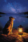 Thumbnail for Timanttikuvio - Starlit Canine Reflection