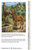 Thumbnail for Värikartta ja ohjeet - Donkey at Well 40x50cm