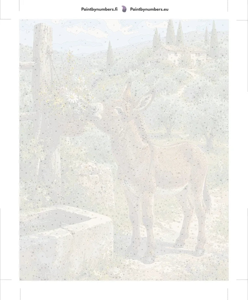 Numeroitu kangas - Donkey at Well 40x50cm