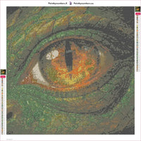 Thumbnail for Dragon Eye timanttimaalauksen liimapintainen canvas 50x50cm