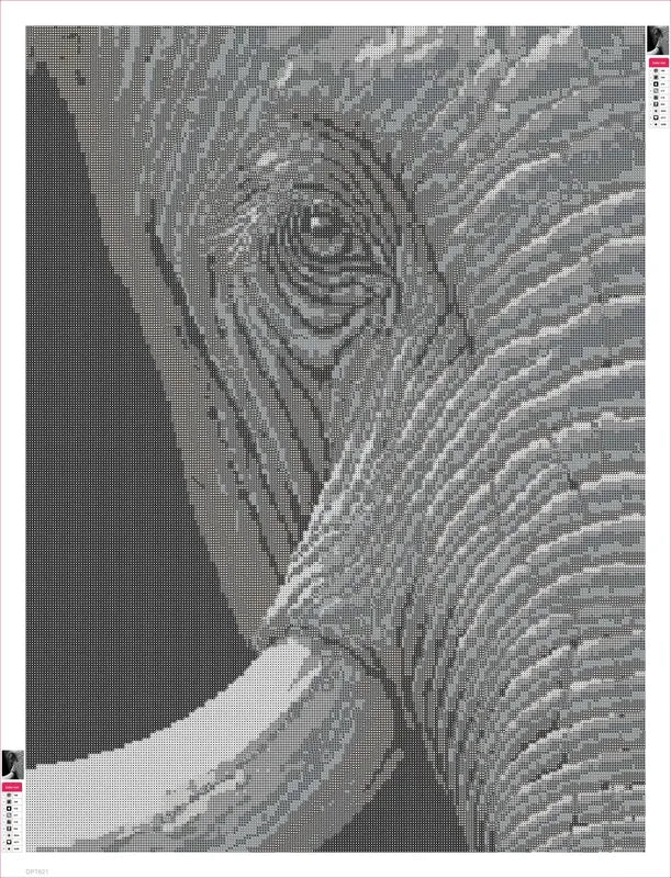 Elephant Eye and Wrinkled Skin timanttimaalauksen liimapintainen canvas 60x80cm