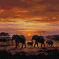 Thumbnail for Timanttikuvio - Elephant Family
