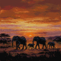 Thumbnail for Timanttikuvio - Elephant Family