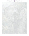 Thumbnail for Numeroitu kangas - Elephant in Forest 2 40x50cm