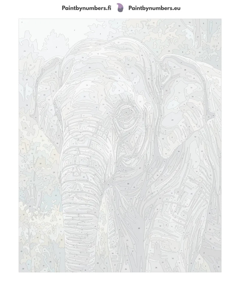 Numeroitu kangas - Elephant in Forest 2 40x50cm