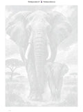 Thumbnail for Numeromaalaus: Numeroitu kangas - Elephant in Ink 50x70cm