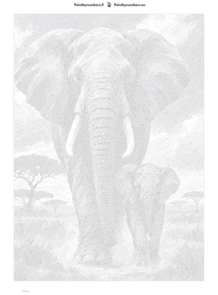 Numeromaalaus: Numeroitu kangas - Elephant in Ink 50x70cm