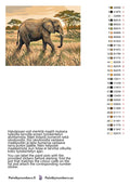 Thumbnail for Värikartta ja ohjeet - Elephant in Savanna 50x40cm