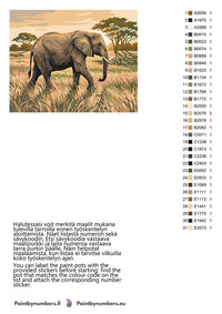 Thumbnail for Värikartta ja ohjeet - Elephant in Savanna 50x40cm