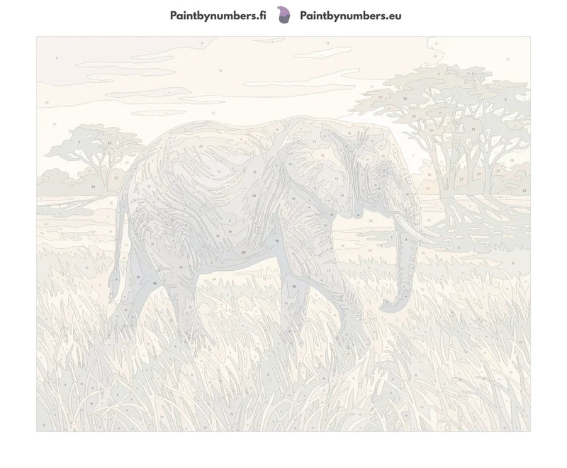 Numeroitu kangas - Elephant in Savanna 50x40cm