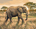Thumbnail for Elefantti kävelee savannilla numeromaalaus