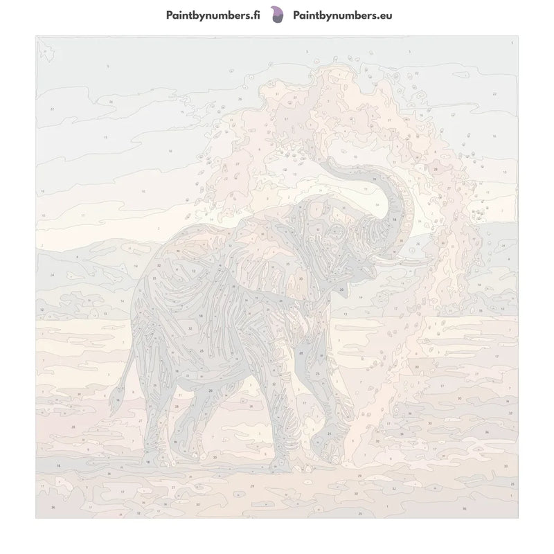 Numeroitu kangas - Elephant Throwing Sand 50x50cm