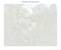 Thumbnail for Numeroitu kangas - Fight Between a Tiger and a Buffalo 50x40cm