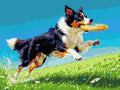 Thumbnail for Timanttikuvio - Frisbee Dog