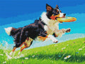 Thumbnail for Timanttikuvio - Frisbee Dog