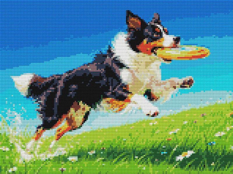 Timanttikuvio - Frisbee Dog
