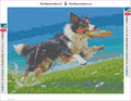 Thumbnail for Frisbee Dog timanttimaalauksen liimapintainen canvas 40x30cm