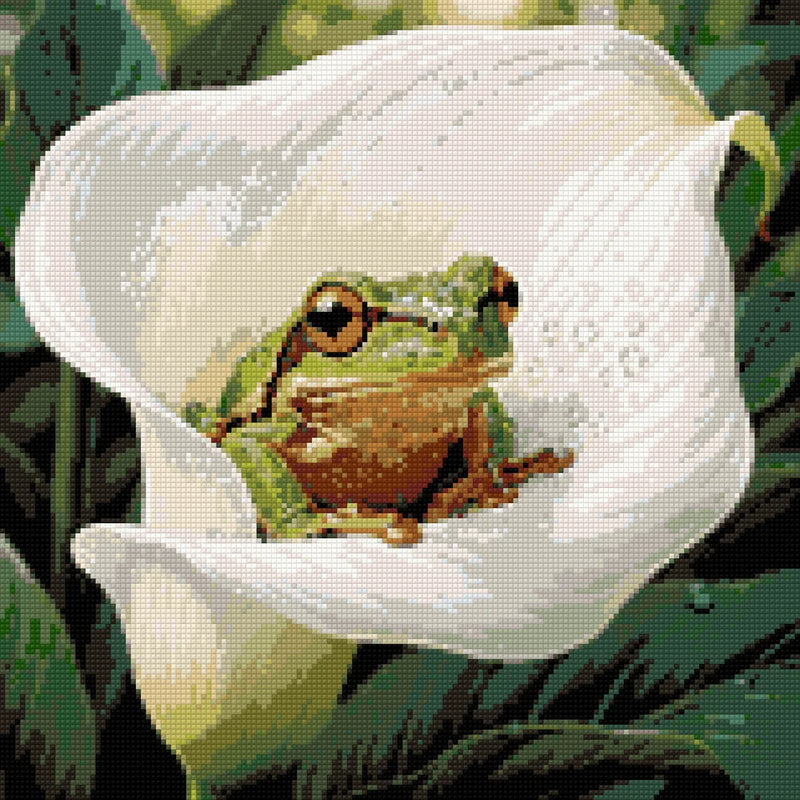 Timanttikuvio - Frog in Calla Lily