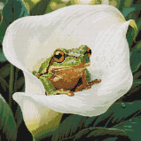 Thumbnail for Timanttikuvio - Frog in Calla Lily