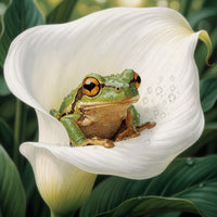 Thumbnail for Timanttimaalaus Frog in Calla Lily