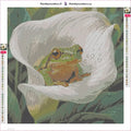 Thumbnail for Frog in Calla Lily timanttimaalauksen liimapintainen canvas 40x40cm