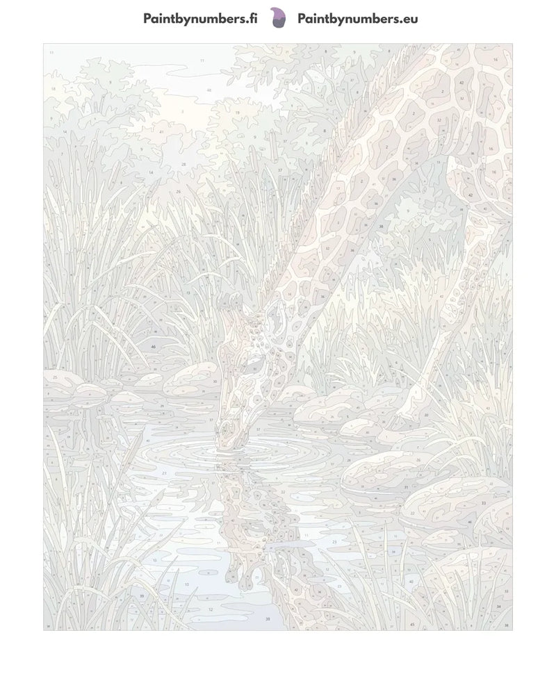 Numeroitu kangas - Giraffe Drinking at Pond 40x50cm