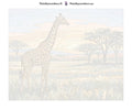 Thumbnail for Numeroitu kangas - Giraffe on Savannah 50x40cm