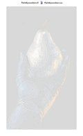 Thumbnail for Numeroitu kangas - Gloved Hand Holding Pear 40x70cm