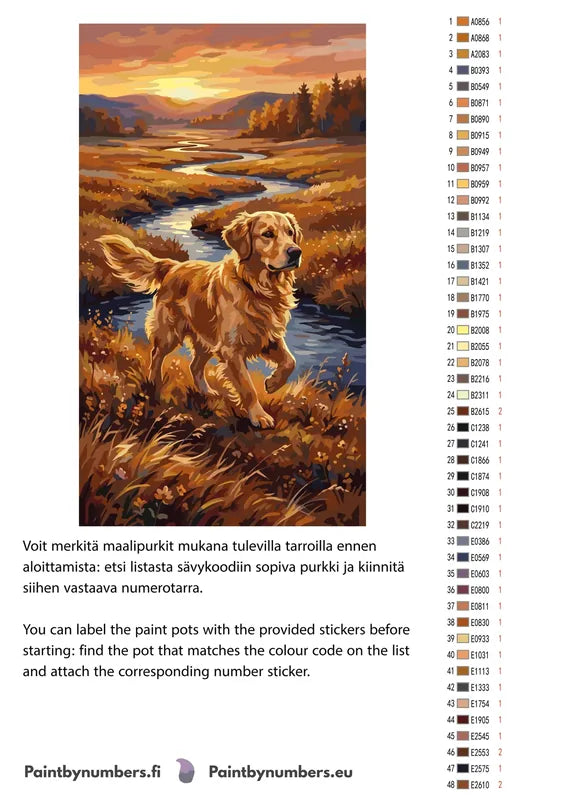 Värikartta ja ohjeet - Golden Retriever in Field 2 40x70cm