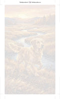 Thumbnail for Numeroitu kangas - Golden Retriever in Field 2 40x70cm