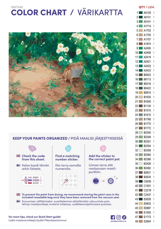 Numeromaalaus: Värikartta ja ohjeet - Peltopyy ja päivänkakkarat 70x50cm